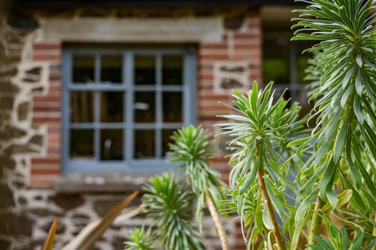 The Stables - Charming 15Th-Century Rural Bolthole Apartman Newton Abbot Kültér fotó